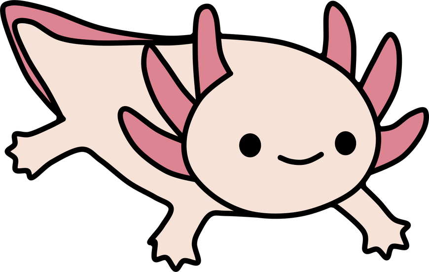 axolotl salamanders